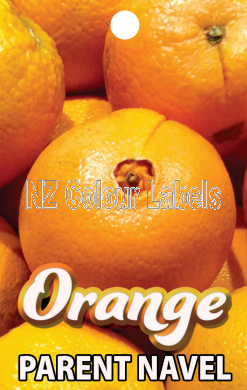 ORANGE Parent Navel - Click Image to Close