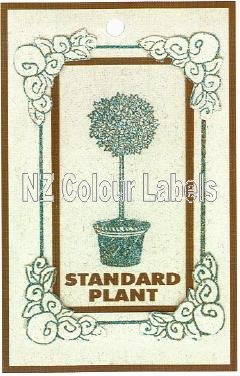 Standard Plant - Click Image to Close