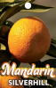 MANDARIN Silverhill