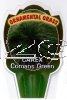 CAREX comans Green