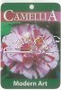 CAMELLIA Modern Art