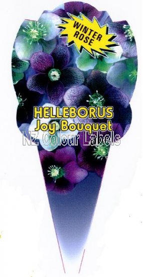 Helleborus Joy Bouquet - Click Image to Close