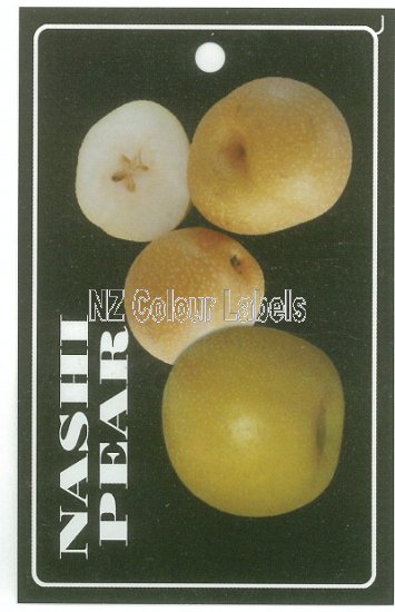 PEAR - Nashi - Hosui, Kosui, Nijiseiki, Shinseiki - Click Image to Close