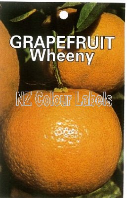 GRAPEFRUIT Wheeny - Click Image to Close