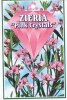 ZIERIA Pink Crystals