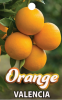 ORANGE Valencia