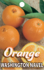 ORANGE Washington Navel