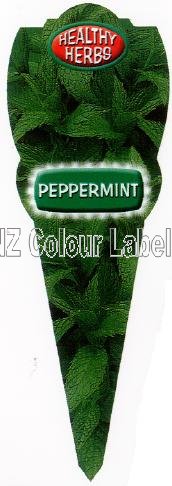 Mint Peppermint - Mentha Piperita - Click Image to Close