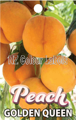 PEACH Golden Queen - Click Image to Close