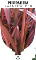 PHORMIUM RAINBOW RED