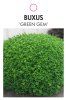 BUXUS Green Gem