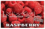 Raspberry Raspberry