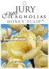 MAGNOLIA HONEY TULIP