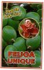 FEIJOA Unique