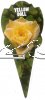 ROSE MINIATURE Yellow Doll