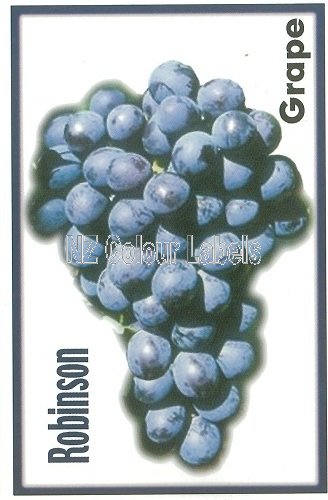 GRAPE Robinson - Click Image to Close