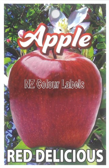 APPLE Red Delicious - Click Image to Close