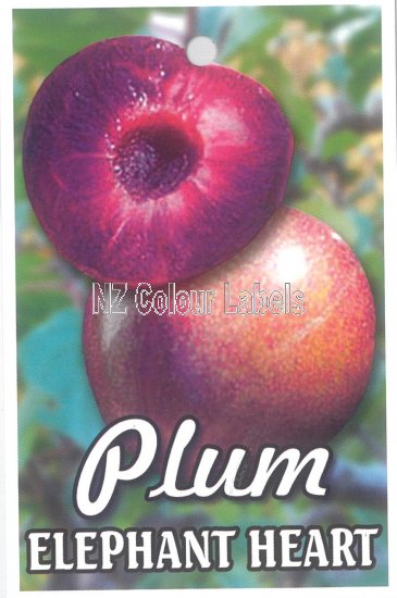 PLUM Elephant Heart - Click Image to Close