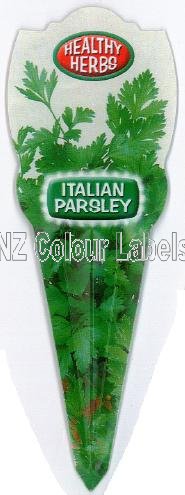 Parsley Italian - Petroselinum Italian Parsley - Click Image to Close