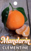 MANDARIN Clementine