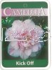 CAMELLIA Kick Off