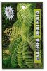 CYATHEA dealbata [Silver Fern]