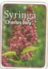 SYRINGA Charles Joly