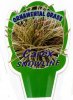 CAREX Snowline