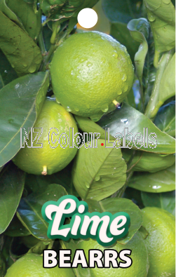 LIME Bearss - Click Image to Close