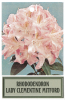 RHODODENDRON Lady Clemtine Mitford