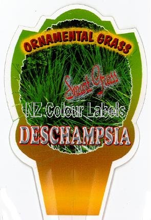 DESCHAMPSIA Smart Grass - Click Image to Close