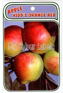 APPLE Kidd's Orange Red - Click Image to Close