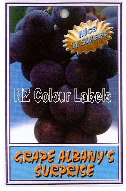 GRAPE Albany's Surprise - Click Image to Close