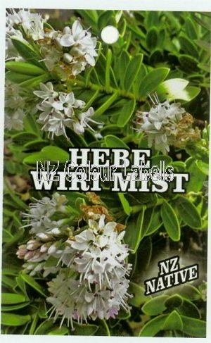 HEBE Wiri Mist - Click Image to Close