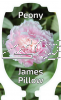 PAEONIA JAMES PILLOW