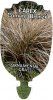 CAREX comans Bronze