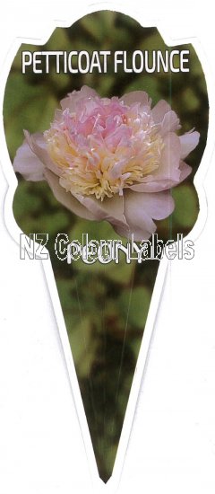 PAEONIA (Peony) Petticoat Flounce - Click Image to Close