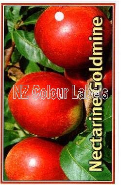 NECTARINE Goldmine - Click Image to Close