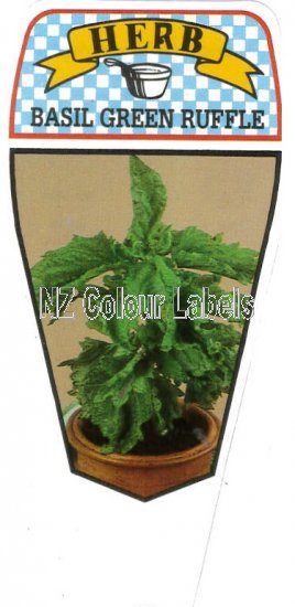 Basil Green Ruffle - Ocimum Basilcum Crispum Green Ruffle - Click Image to Close