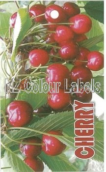 CHERRY (Stella, Compact Stella, Lapins, Tangshe) - Click Image to Close