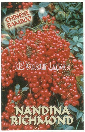 NANDINA Richmond - Click Image to Close