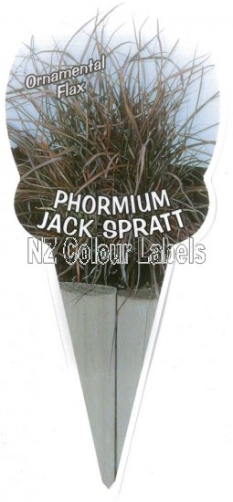 Phormium Jack Spratt - Click Image to Close