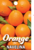 ORANGE Navelina