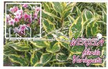 WEIGELA Variegated