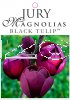 MAGNOLIA BLACK TULIP