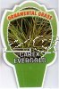 CAREX Evergold