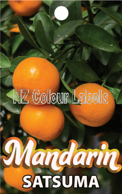 MANDARIN Satsuma - Click Image to Close