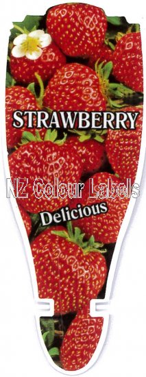 STRAWBERRY Strawberry - Click Image to Close