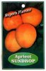 APRICOT Sundrop