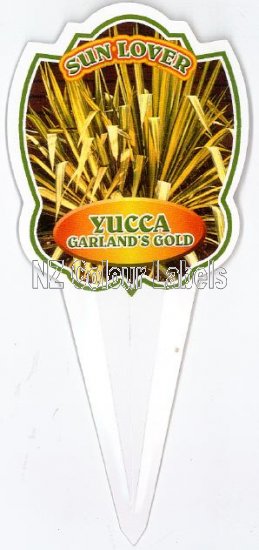 YUCCA Garlands Gold - Click Image to Close